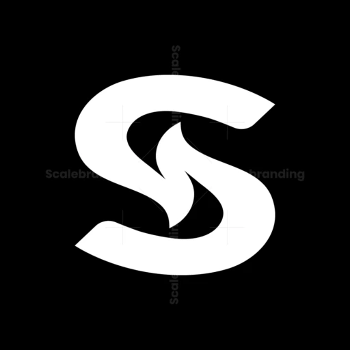 s flame logo